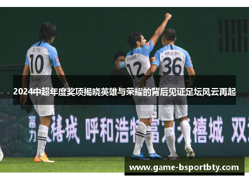 2024中超年度奖项揭晓英雄与荣耀的背后见证足坛风云再起